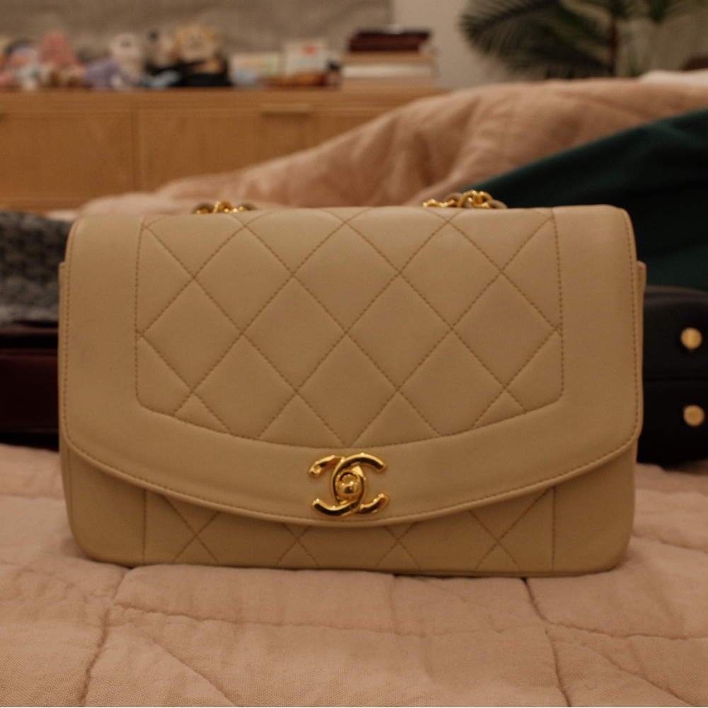 CHANEL Small Diana Beige Shoulder Bag